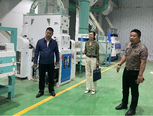 落实"种好粮,办工厂,乡村面貌大变样"要求之粮食加工企业调研行六